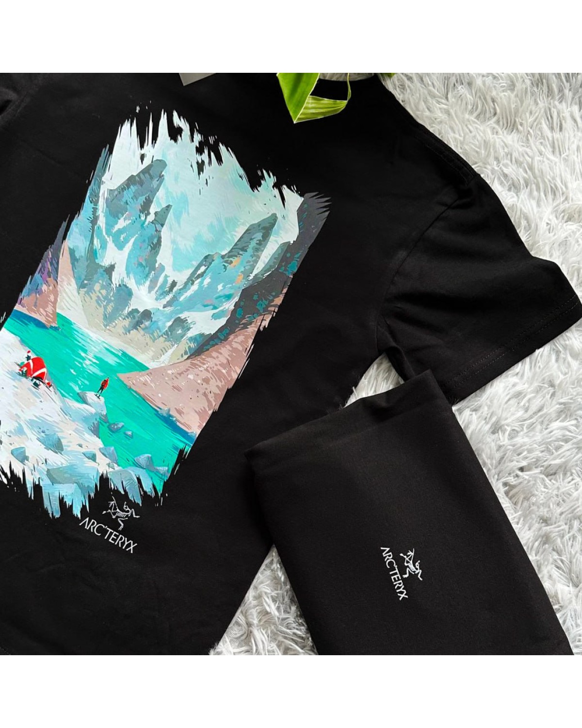 Футболка Arcteryx Mountain Lake