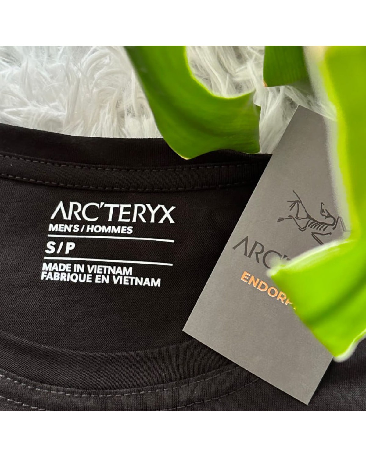 Футболка Arcteryx Mountain Lake