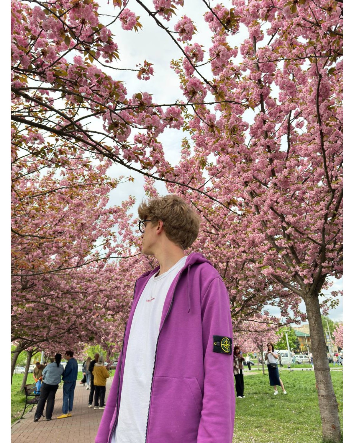 Зіп худі Stone Island Violet