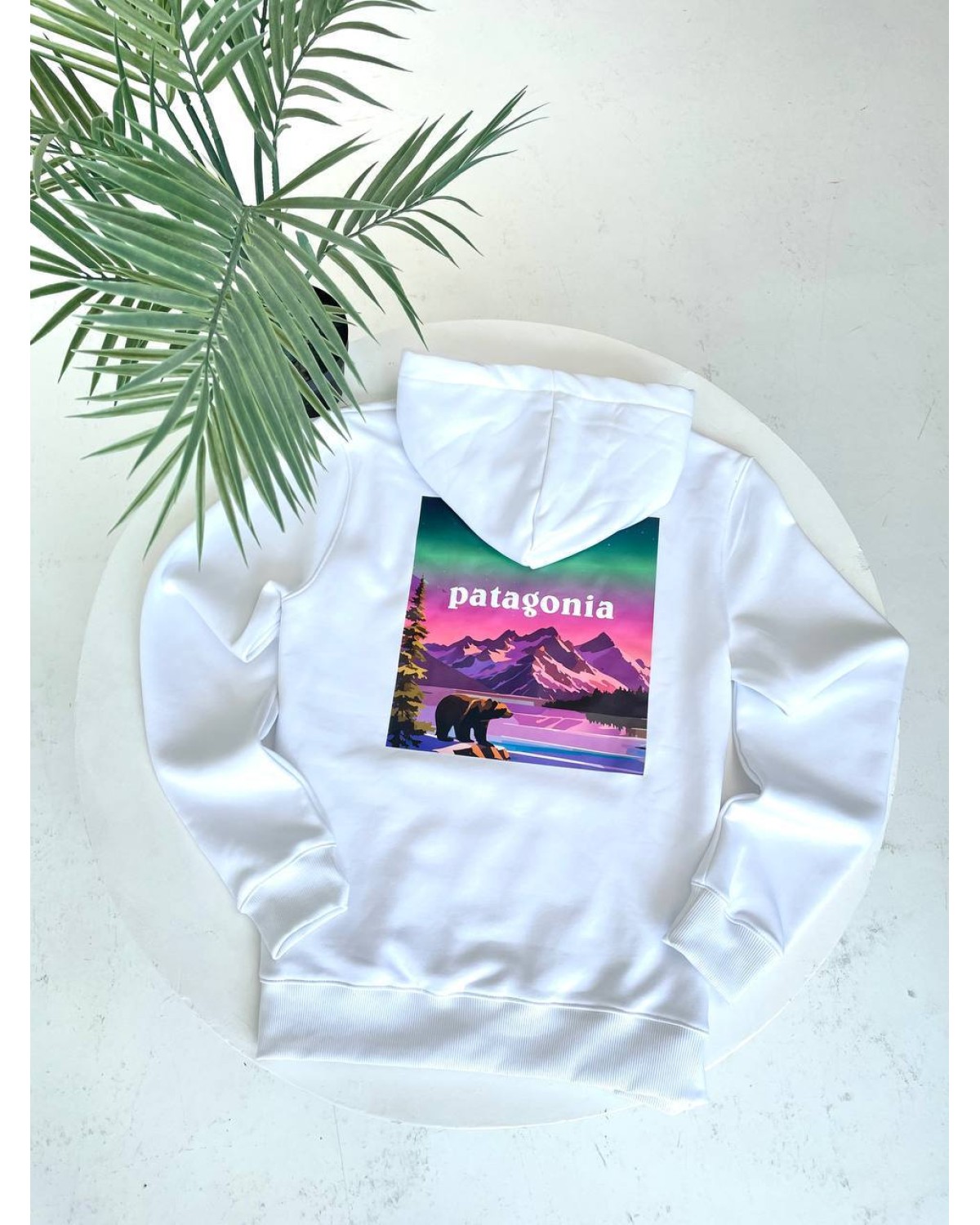 Худі Patagonia