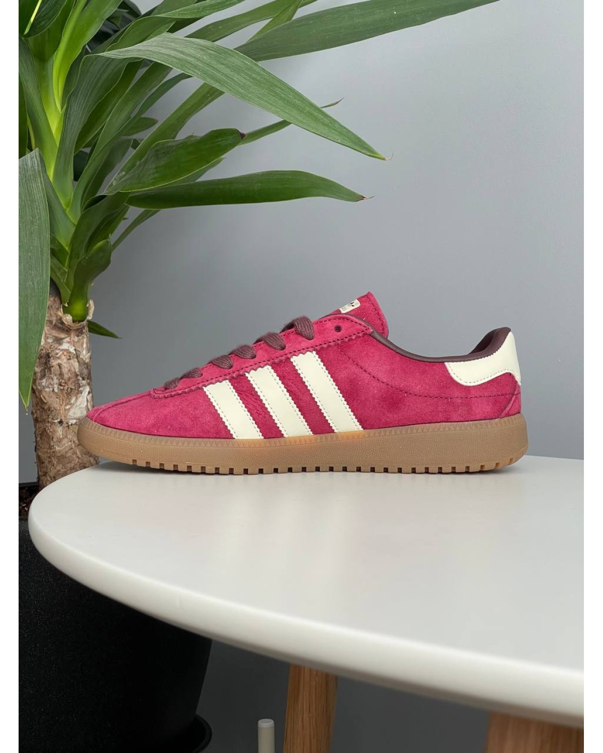 Adidas Bermuda Collegiate Burgundy