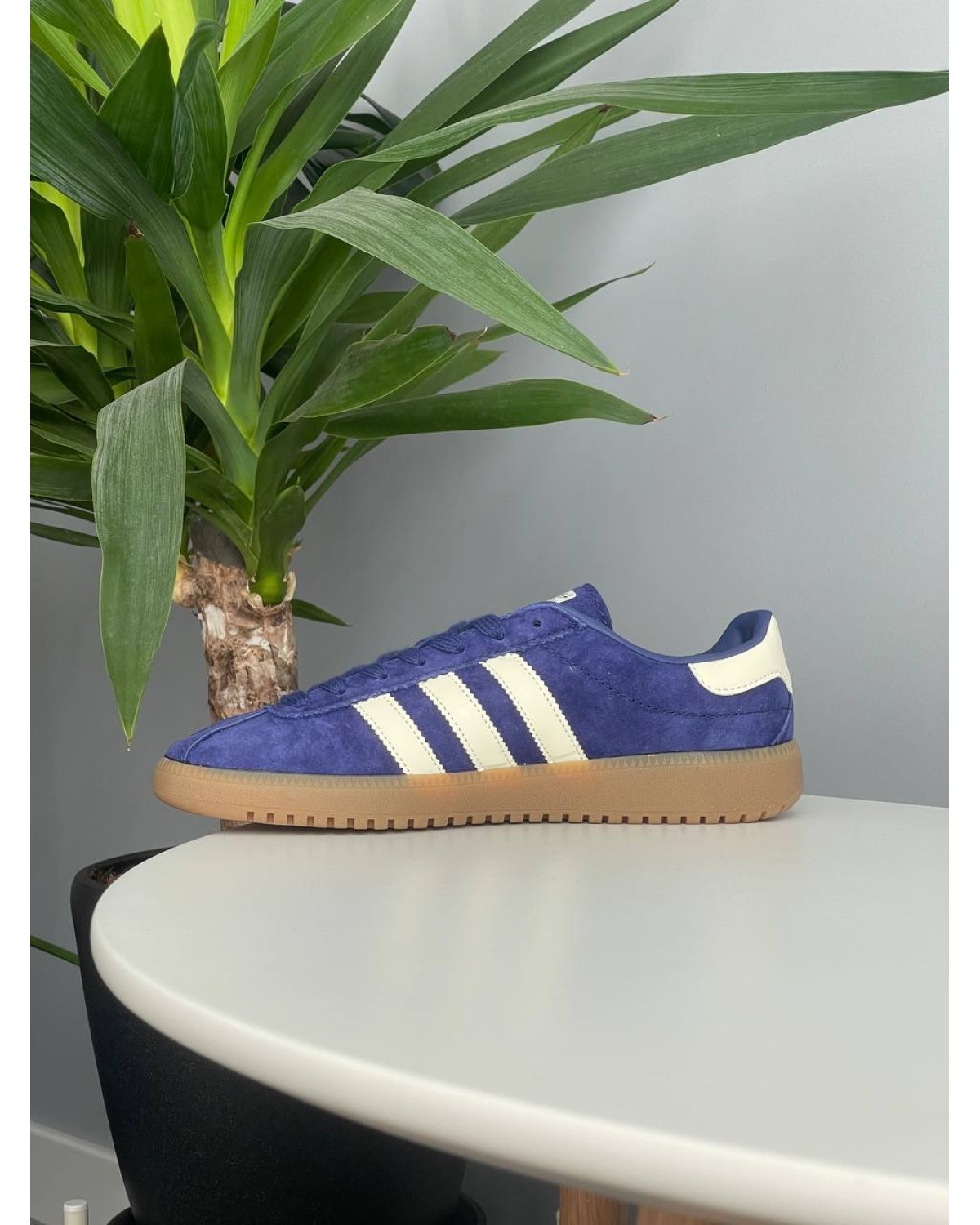 Adidas Bermuda Purple