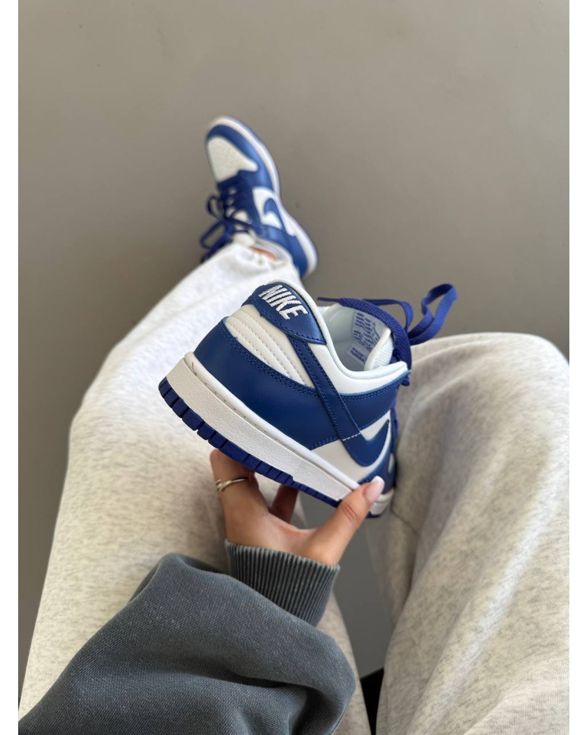 Nike SB Dunk Blue / White