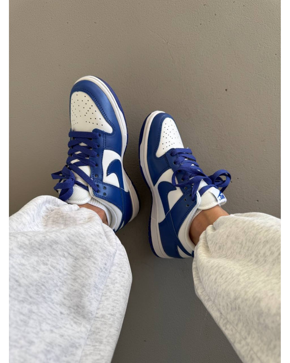 Nike SB Dunk Blue / White