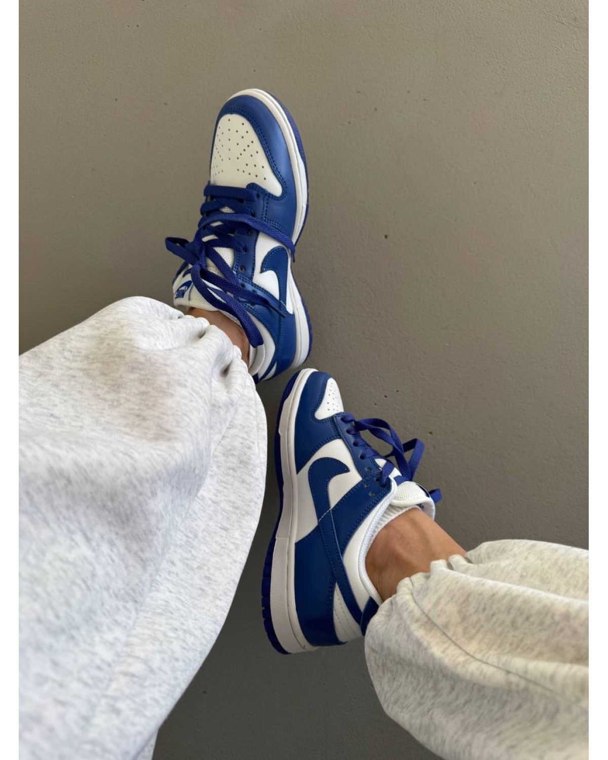 Nike SB Dunk Blue / White