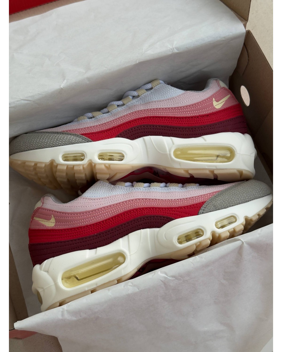 Nike Air Max 95 Anatomy Of Air