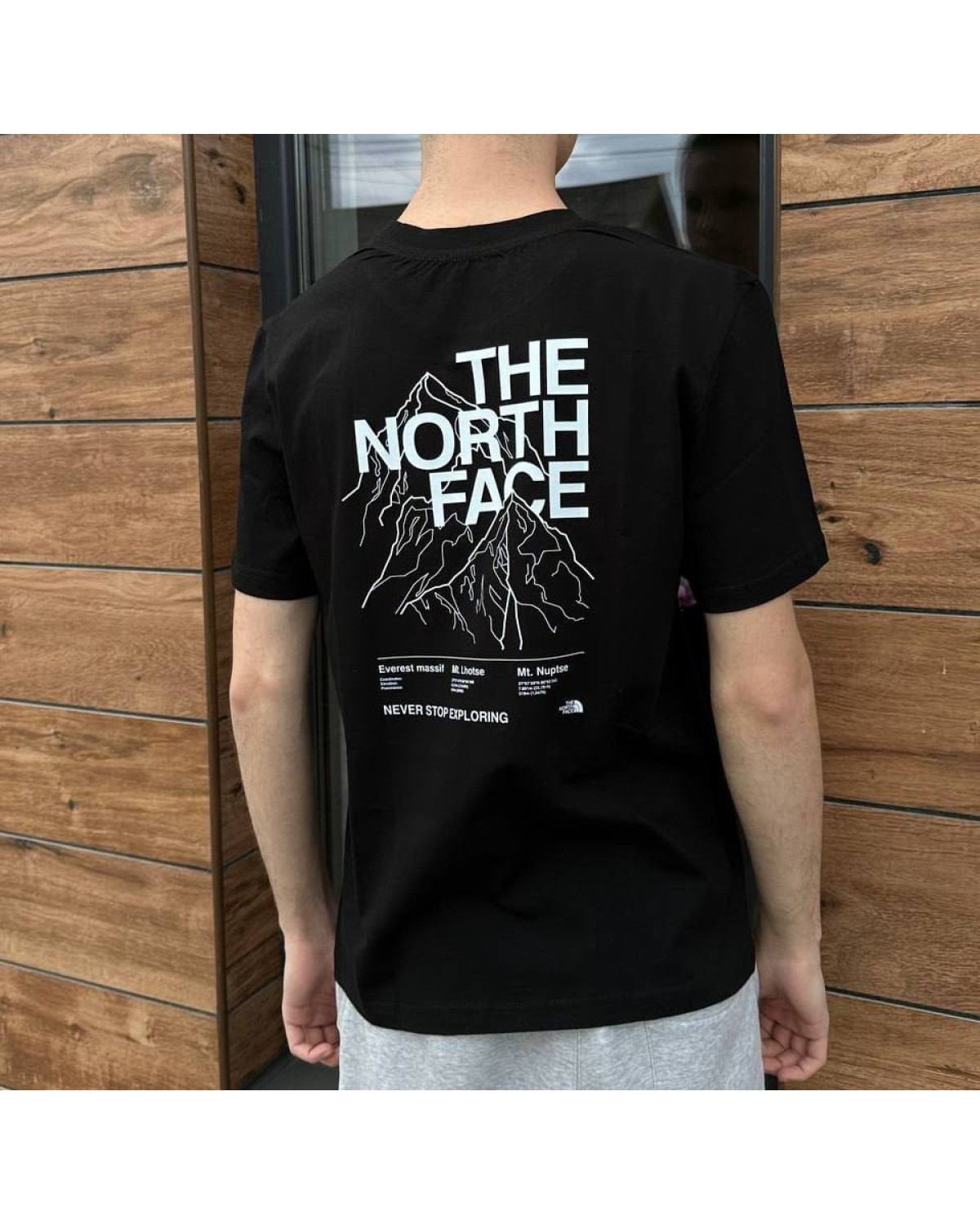 Футболка The North Face